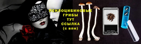 дживик Липки